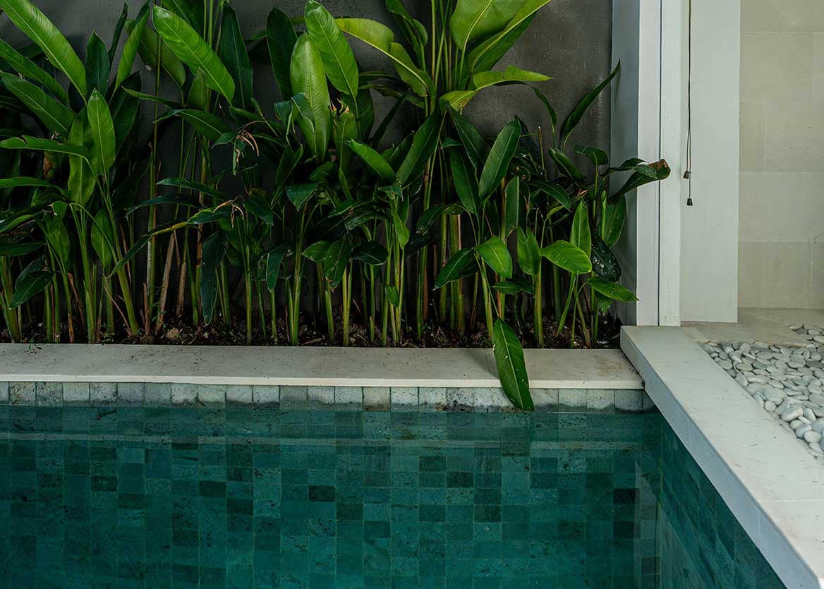 pronoia villa